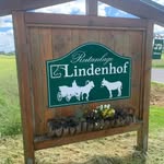 451203446_1037137624054232_7995250927918840523_n